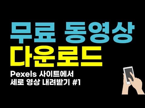 Pexels 추천 영상 2