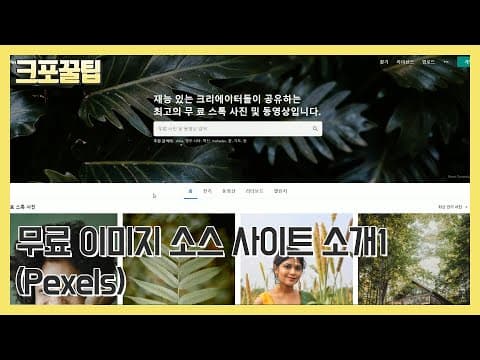 Pexels 추천 영상 1